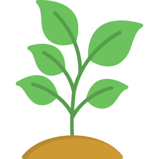 Image of a plant